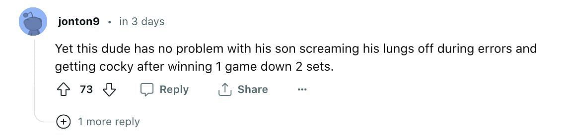 Screengrab of the fan comment on Reddit